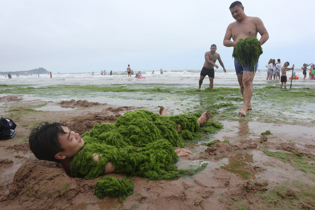 Kína alga tengerpart Csingtao strand 