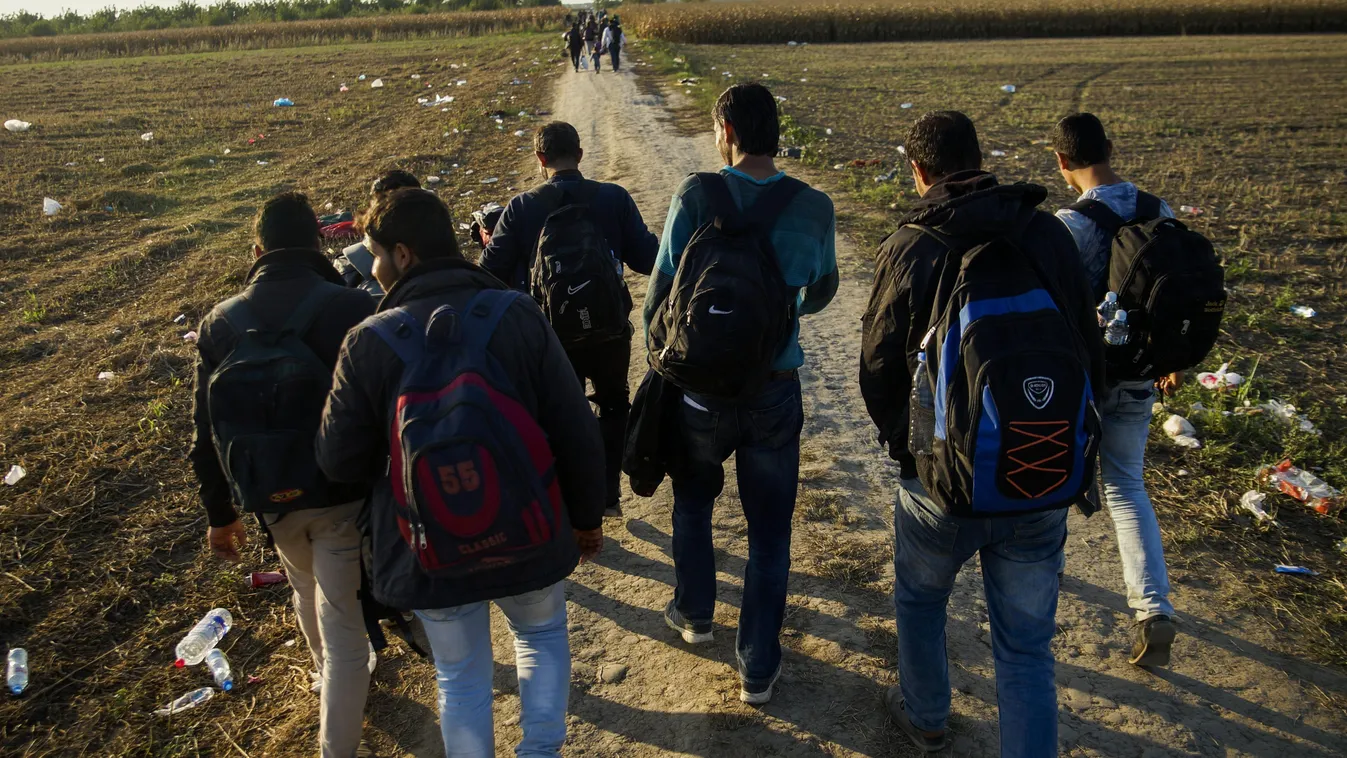 migráns menekült migránsok menekültek sid horvátország 