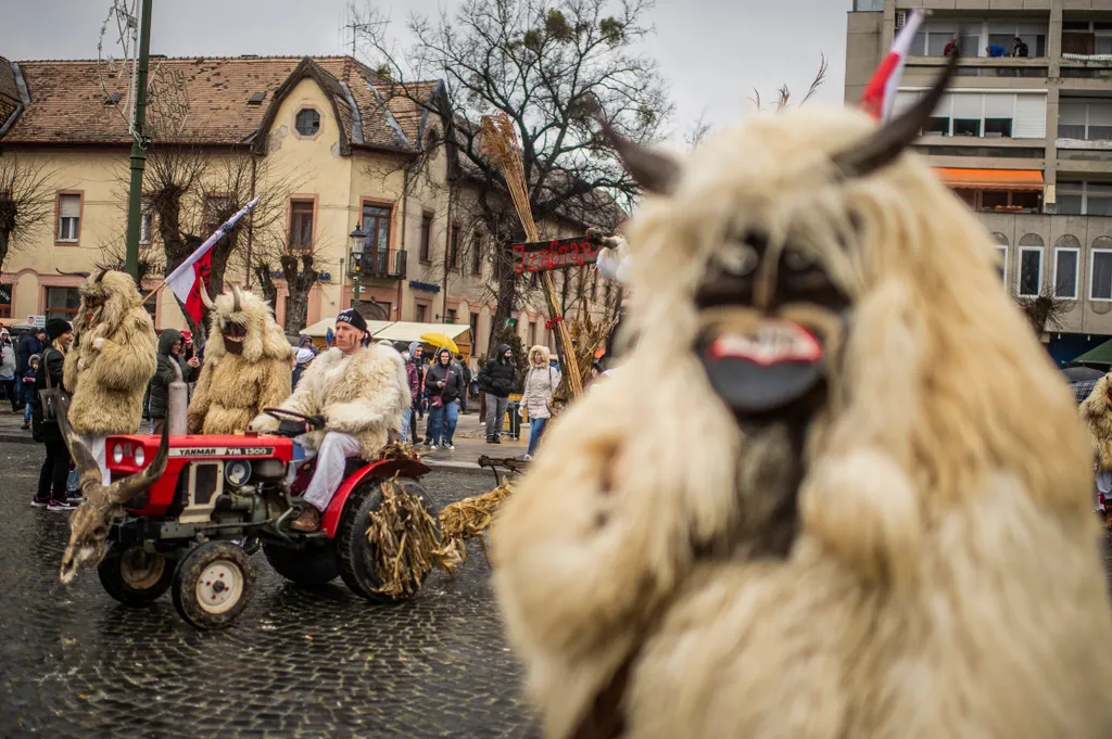 Busójárás, Mohács, 2022 