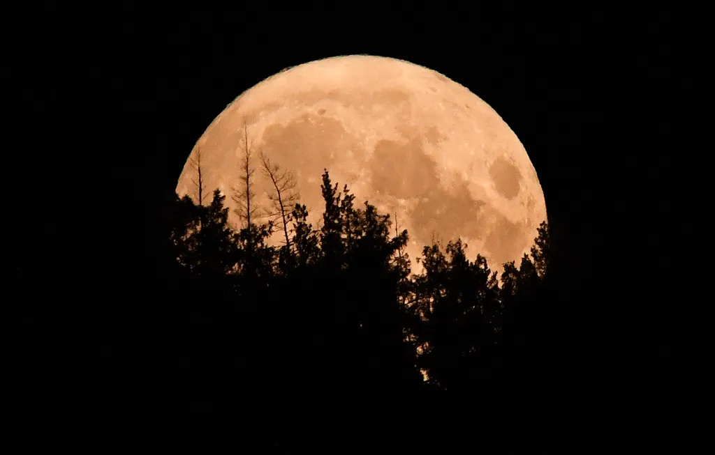 szuperhold, hold,   Russia Full Moon supermoon Syberia taiga astrophotography astronomy evening night Horizontal 