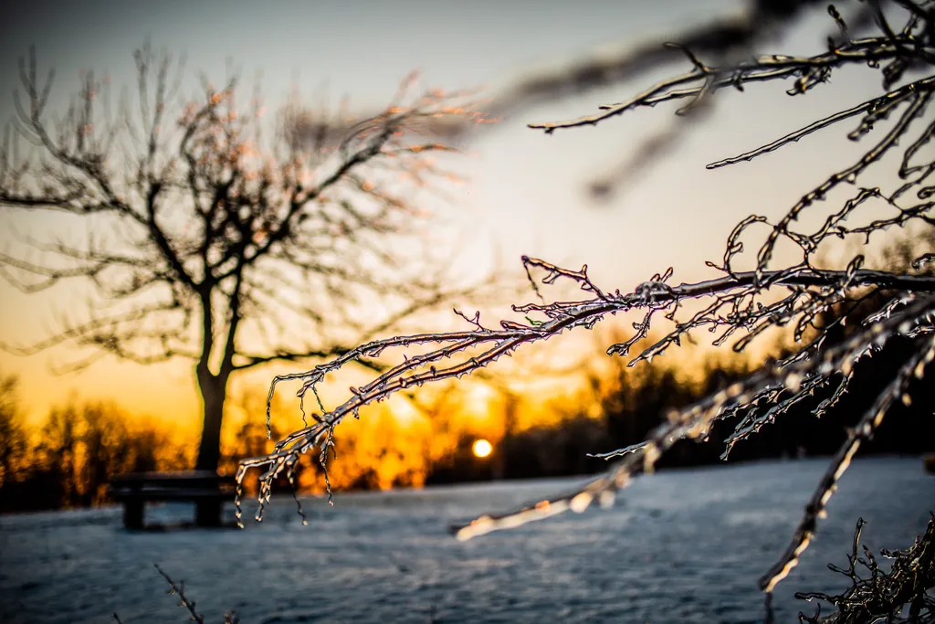 Normafa, jég, tél, időjárás, napfelkelte 