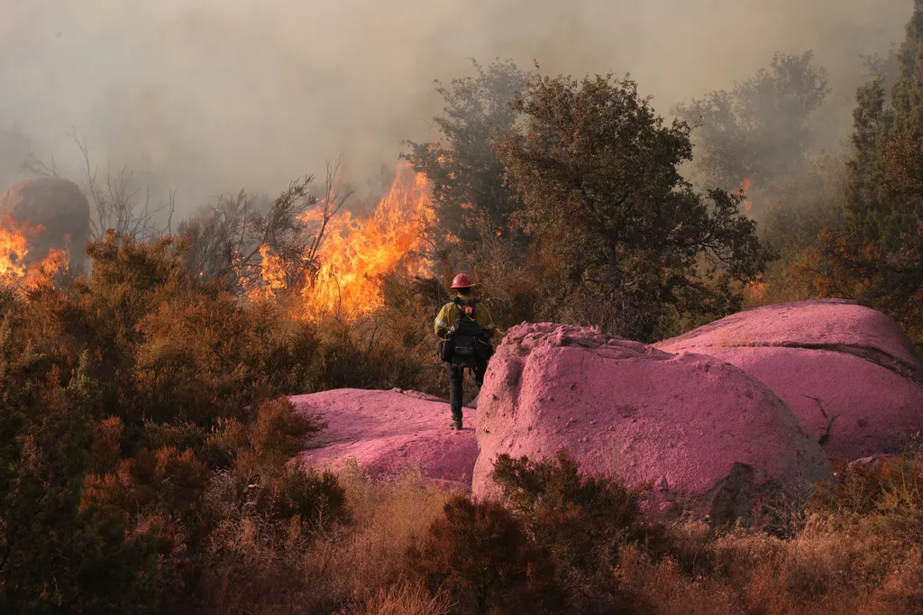 Erdőtűz, tűz, tűzoltó, Moreno Valley, Kalifornia, 2023.07.16. 