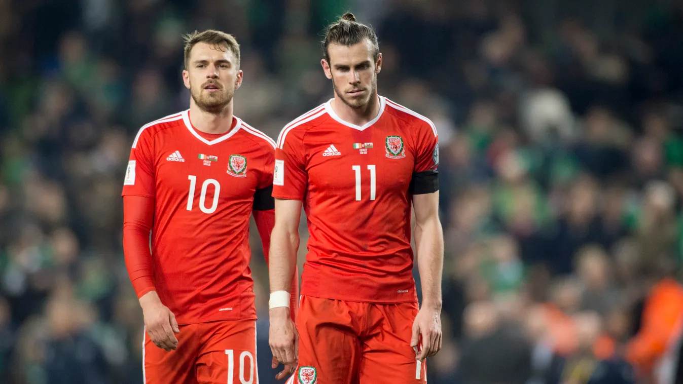 Republic of Ireland v Wales - FIFA 2018 World Cup Qualifier Wales Ireland Applauding Aviva Stadium Dublin - Republic of Ireland FIFA World Cup 2018 HORIZONTAL Incidental People International Team Soccer National Team One Person People Photography Qualific