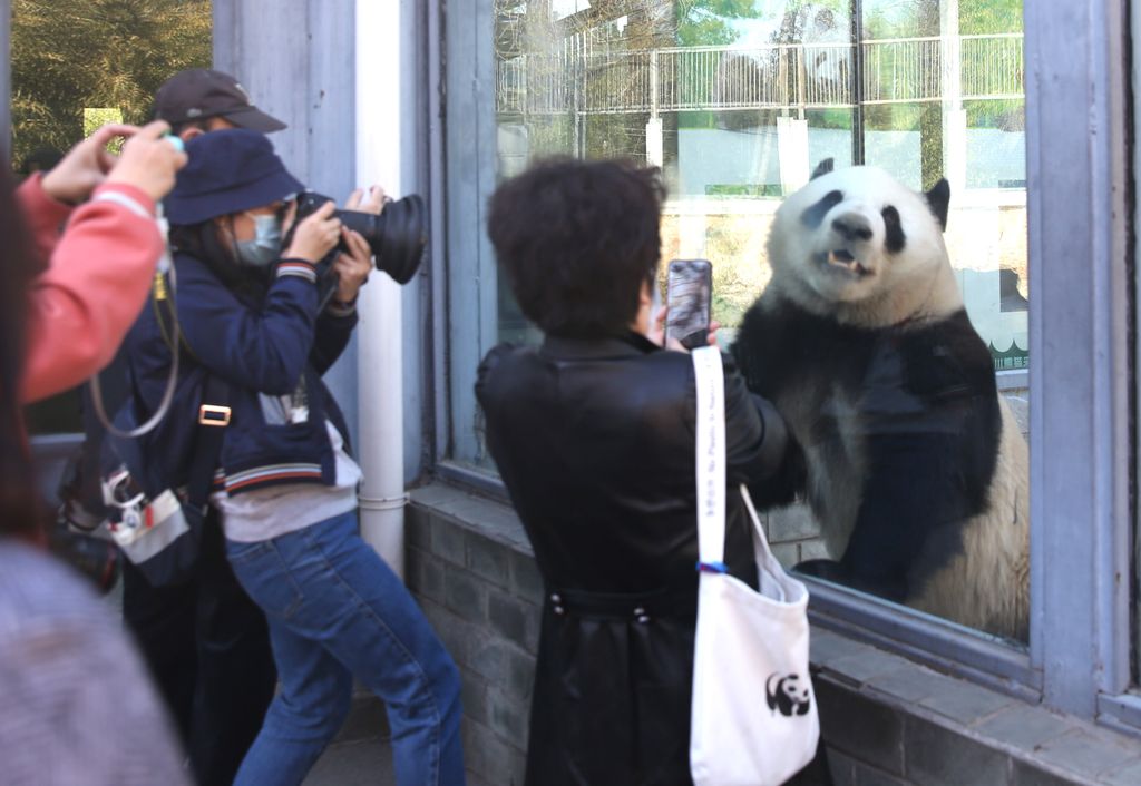 Pekingi állatkert 
