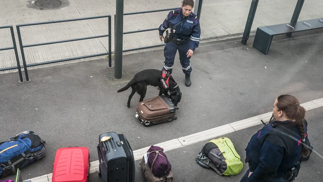 Anti-drug customs control with dog at the bus station of Charles de Gaulle airport. Anti-drug Charles de Gaulle airport amsterdam arręté aéroport BOMB bombe BUS BUS STATION cannabis chien compartiment ŕ bagages controlled contrôlé douane customs control d
