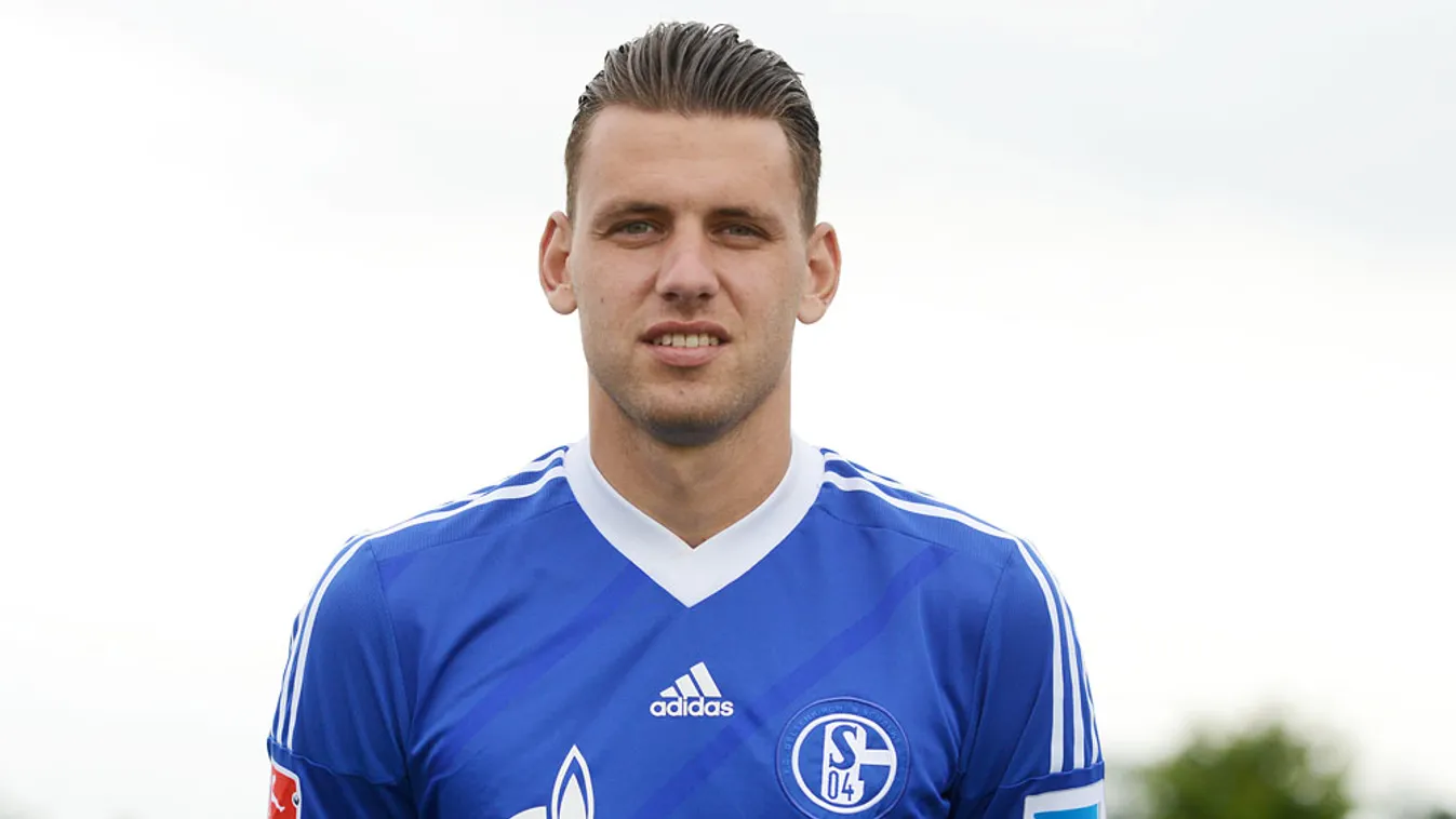 Szalai Ádám, FC Schalke