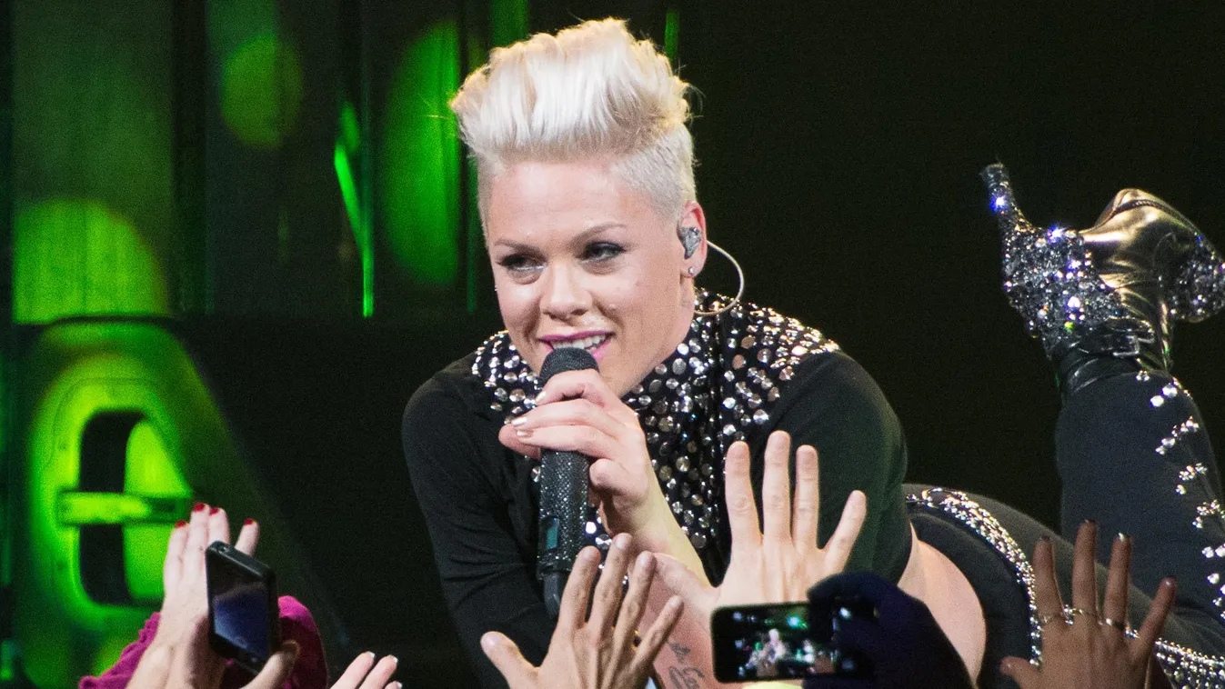 P!nk In Concert - New York, NY GettyImageRank1 Performance Topics HORIZONTAL USA New York City Pink - Singer Arts Culture and Entertainment Celebrities NK Topix Bestof toppics A-List Celebrity Barclays Center - Brooklyn 