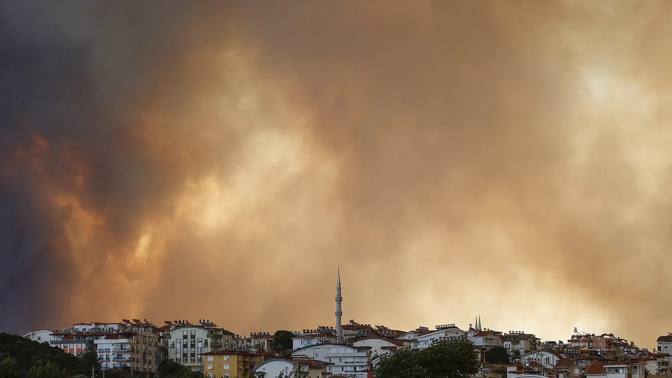 tűz, tűzvész, lángok, katasztrófa, Törökország, erdőtűz, Antalya, Manavgat 