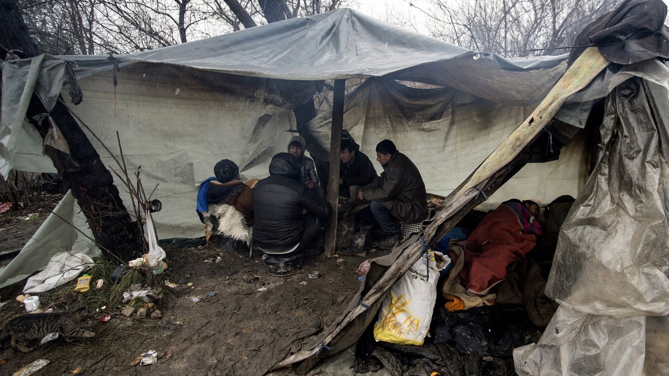 Afgán menekült csoport várakozik a szabadkai téglagyár mögött található nádasban felvert ideiglenes szálláson.
Akinek van elég pénze az embercsempészek továbbviszik a határra,akinek nincs reménykedik,hogy családtagjai pénzt küldjenek a továbbutazásra. 