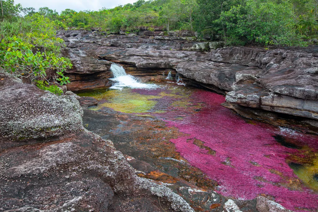 Cano Cristales Kristály folyó Kolumbia 