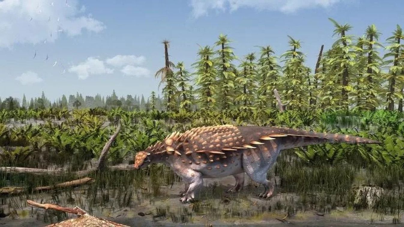 páncélos dinoszaurusz, Vectipelta barretti 