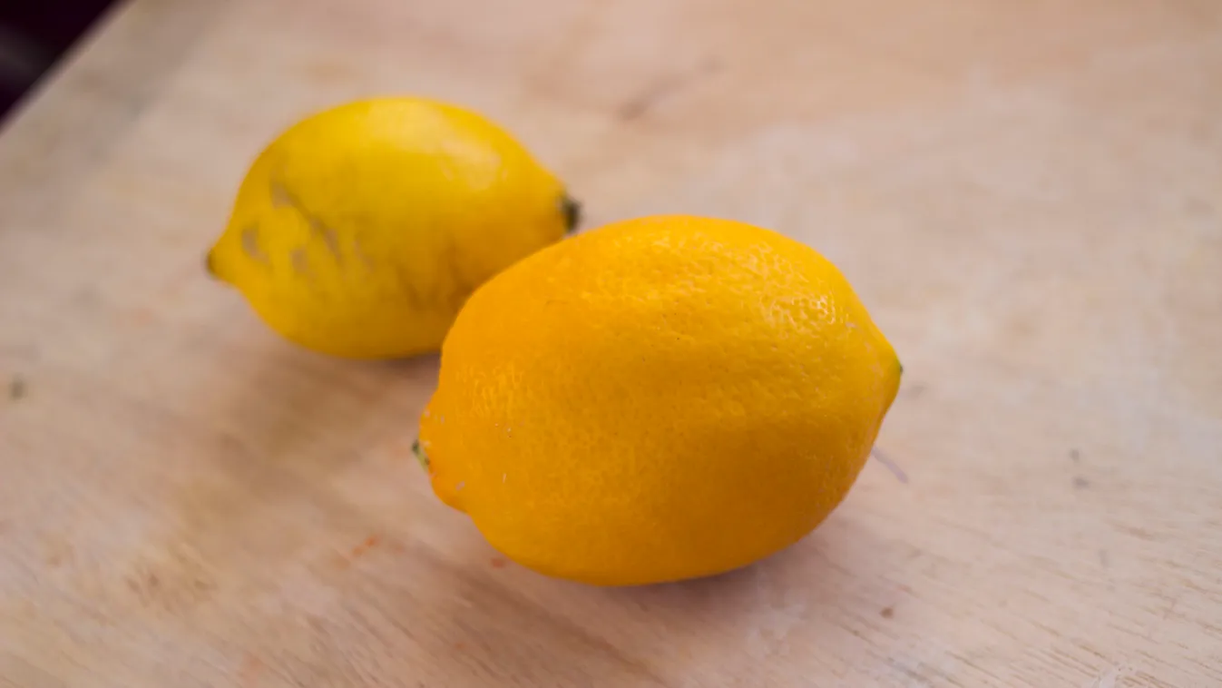 Meyer citrom 