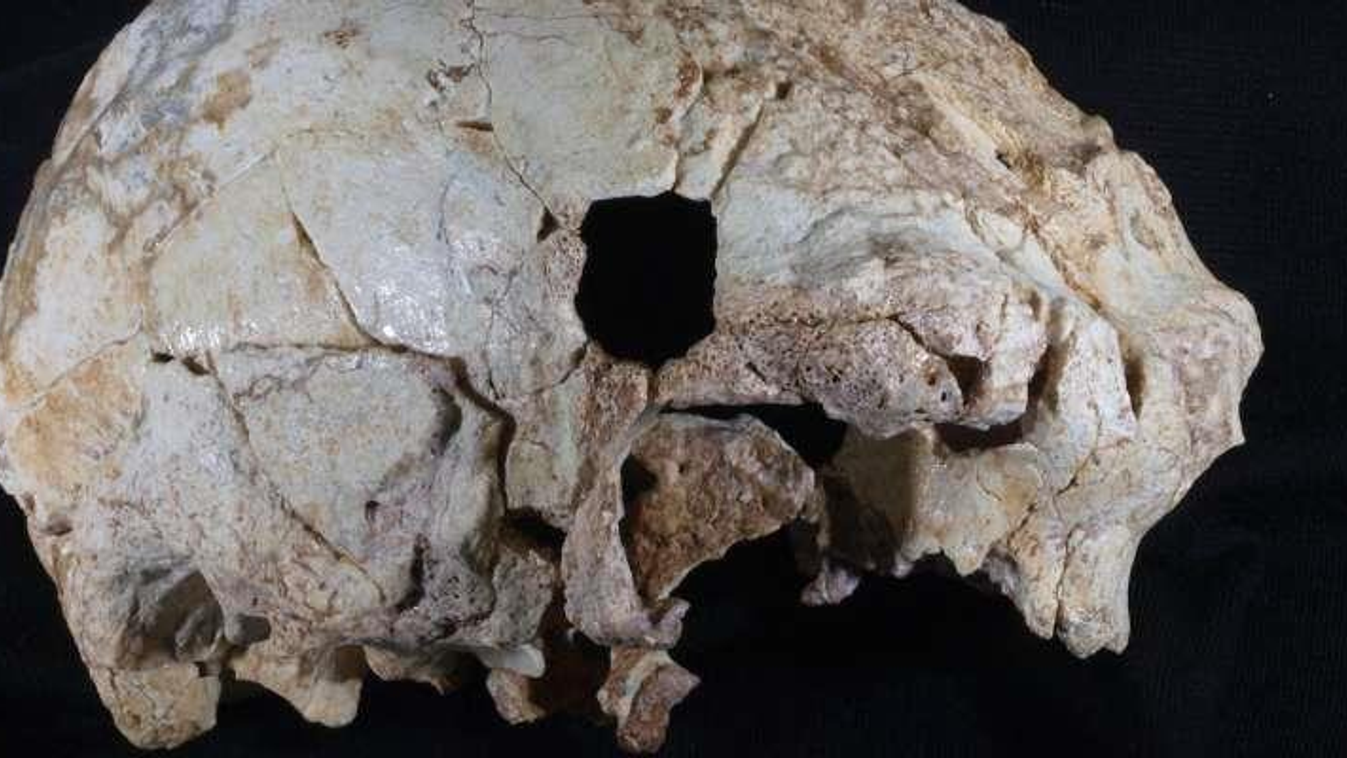400 ezer éves koponya 