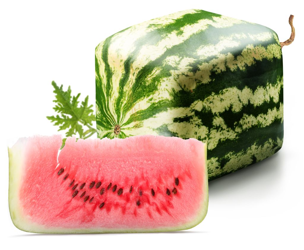 A 10 legdrágább gyümölcs, Square Watermelon, 