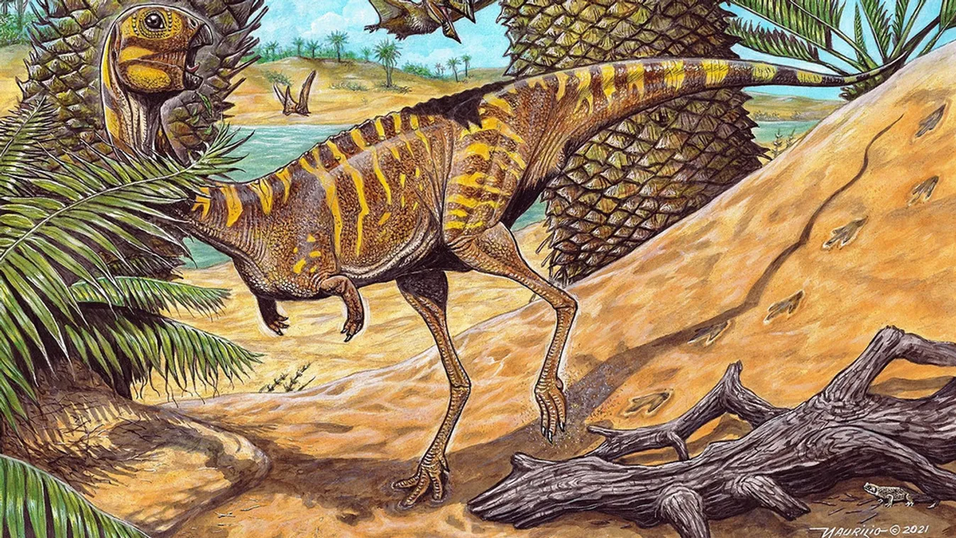 dinoszaurusz, Brazília 