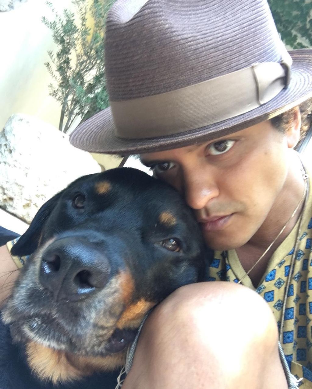 Bruno Mars állatos galéria 