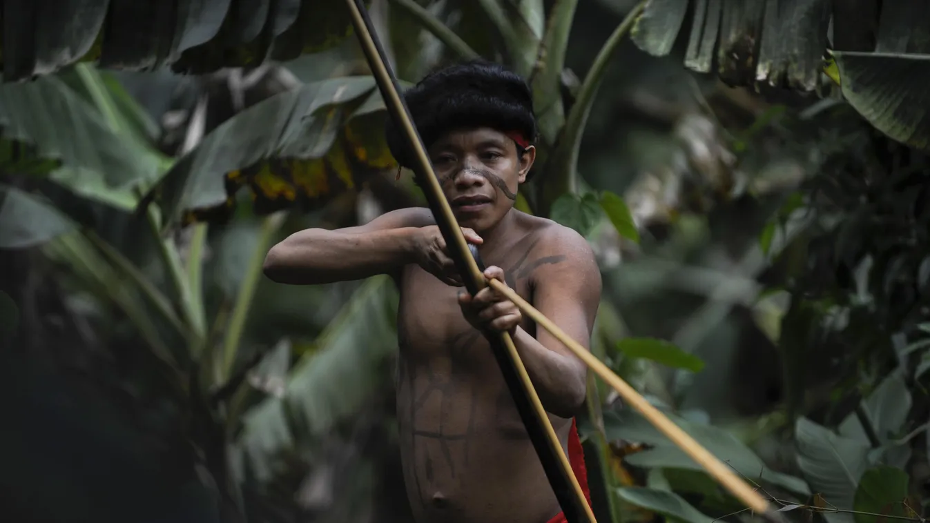 Yanomami indián 