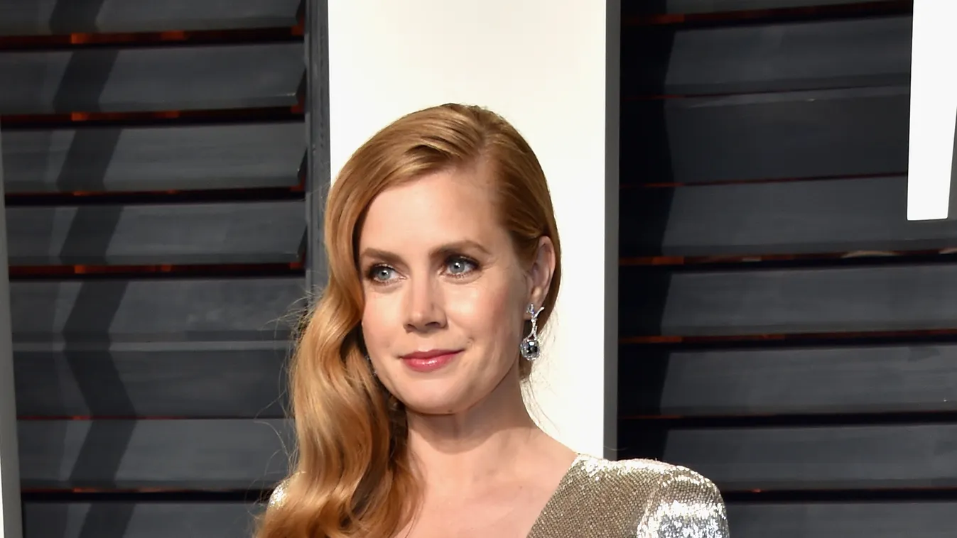 2017 Vanity Fair Oscar Party Hosted By Graydon Carter - Arrivals GettyImageRank3 VF ACADEMY AWARDS Arts Culture and Entertainment Celebrities Amy Adams 