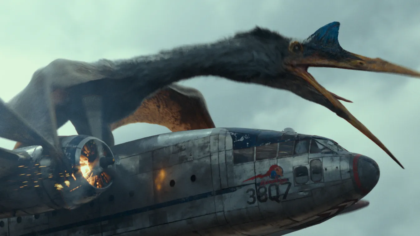 A Quetzalcoatlus in Jurassic World Dominion, co-written and directed by Colin Trevorrow. 