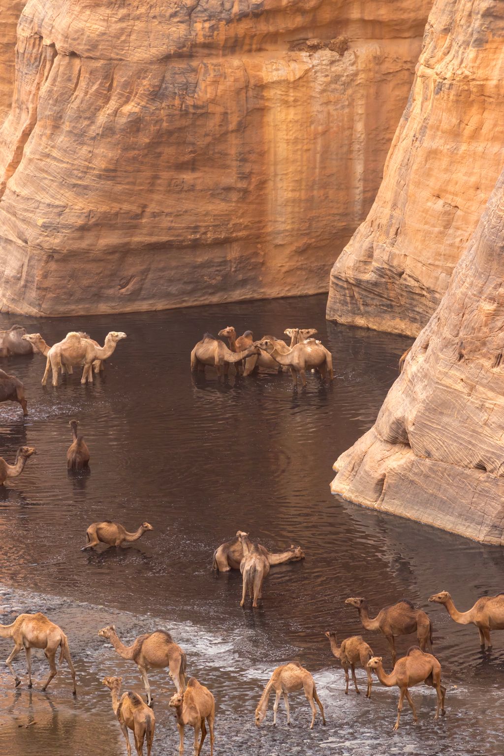 Guelta d'Archei 
