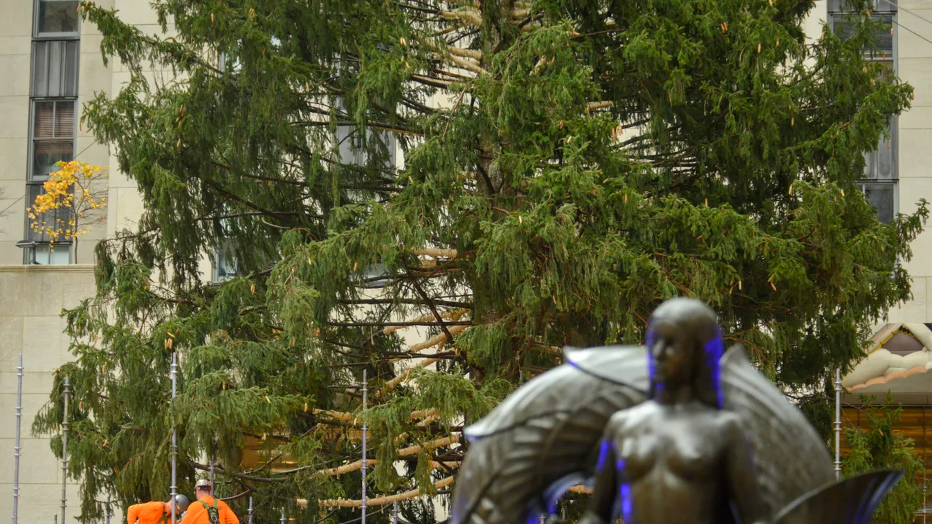 79-foot Christmas Tree Arrives In New York City's Rockefeller Center NurPhoto General news November 13 2021 13th November 2021 Rockefeller Plaza Trees Horizontal, Karácsonyfa 