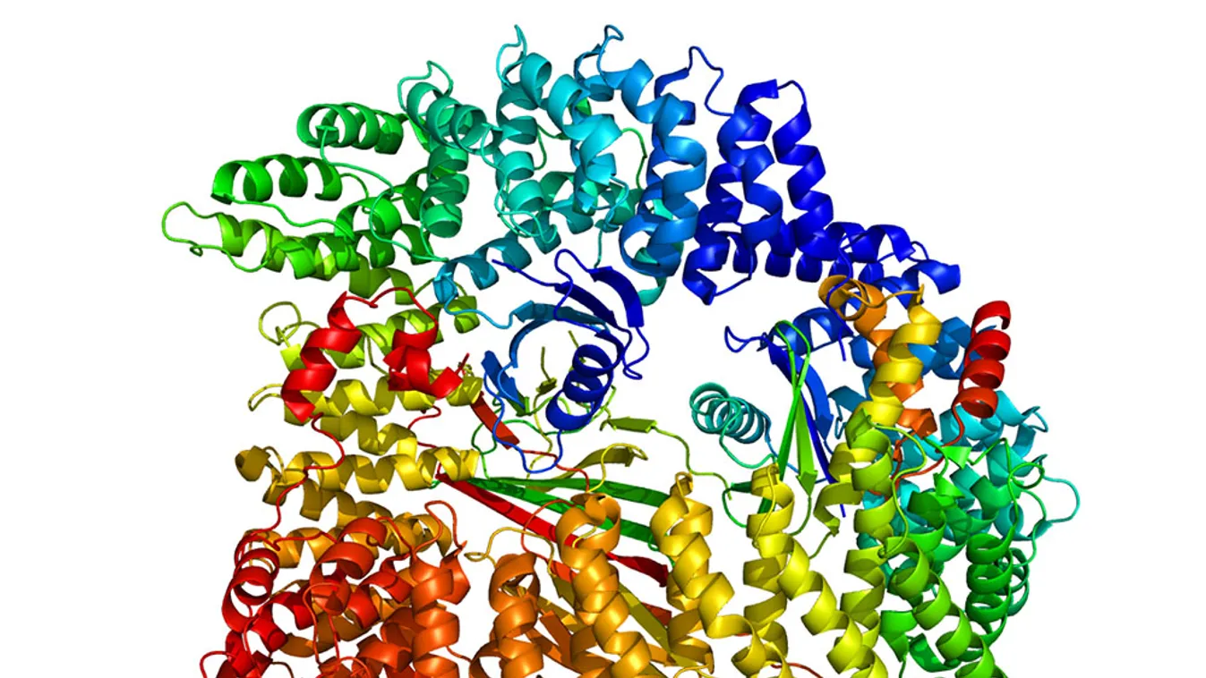 kémiai Nobel-díj 2013, Egy fehérjekomplex szerkezete 
