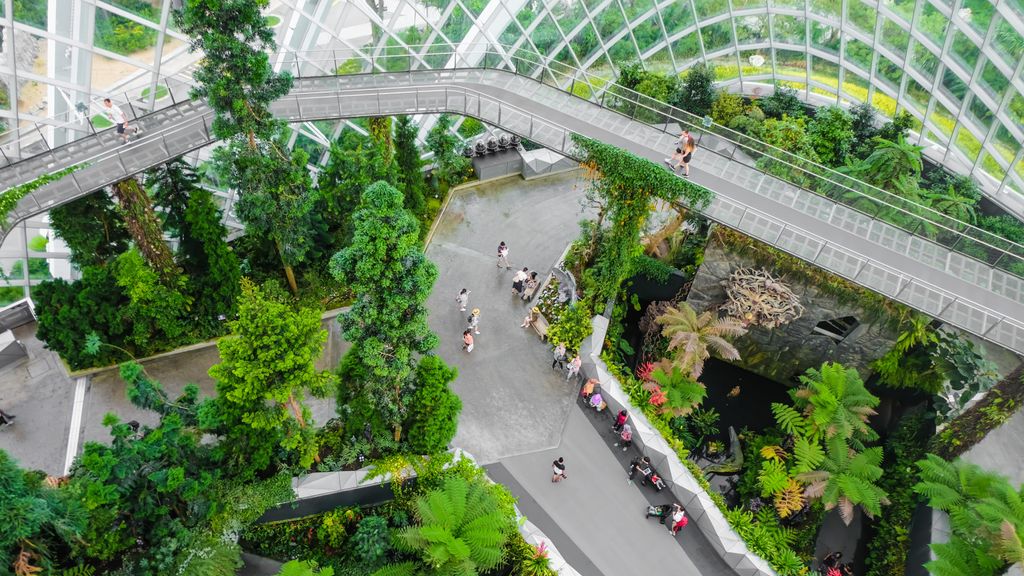 Szingapúr, Cloud forest, üvegház, pálmaház, kert, fedett 