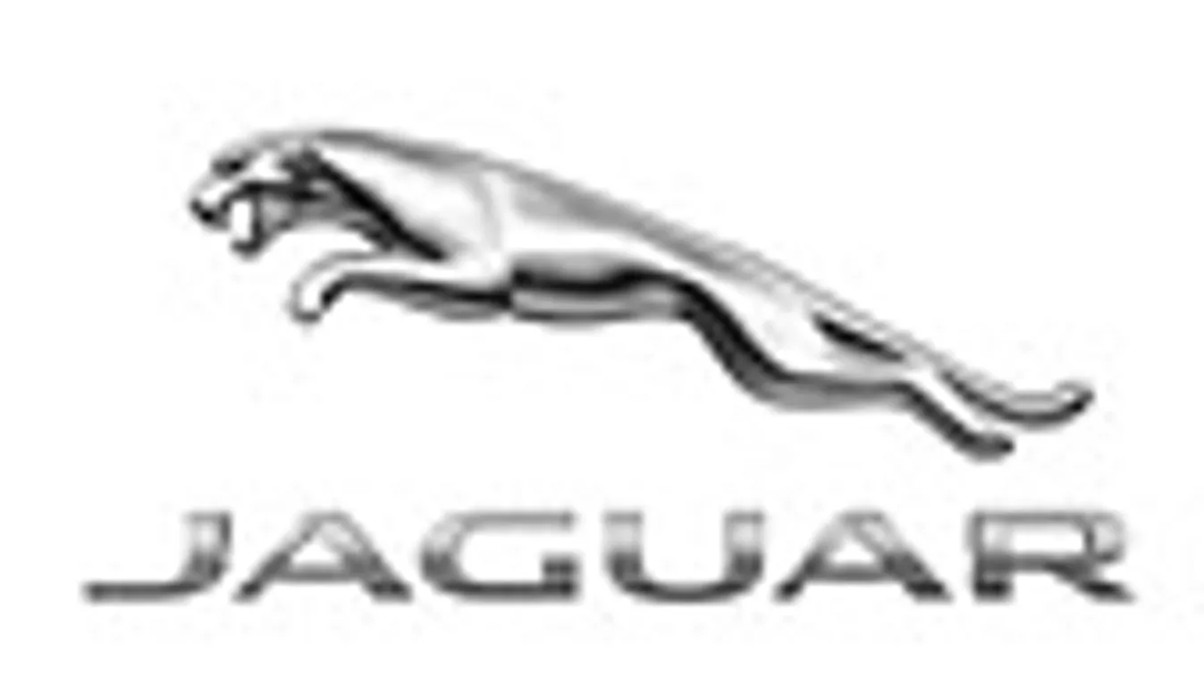 Jaguar logo