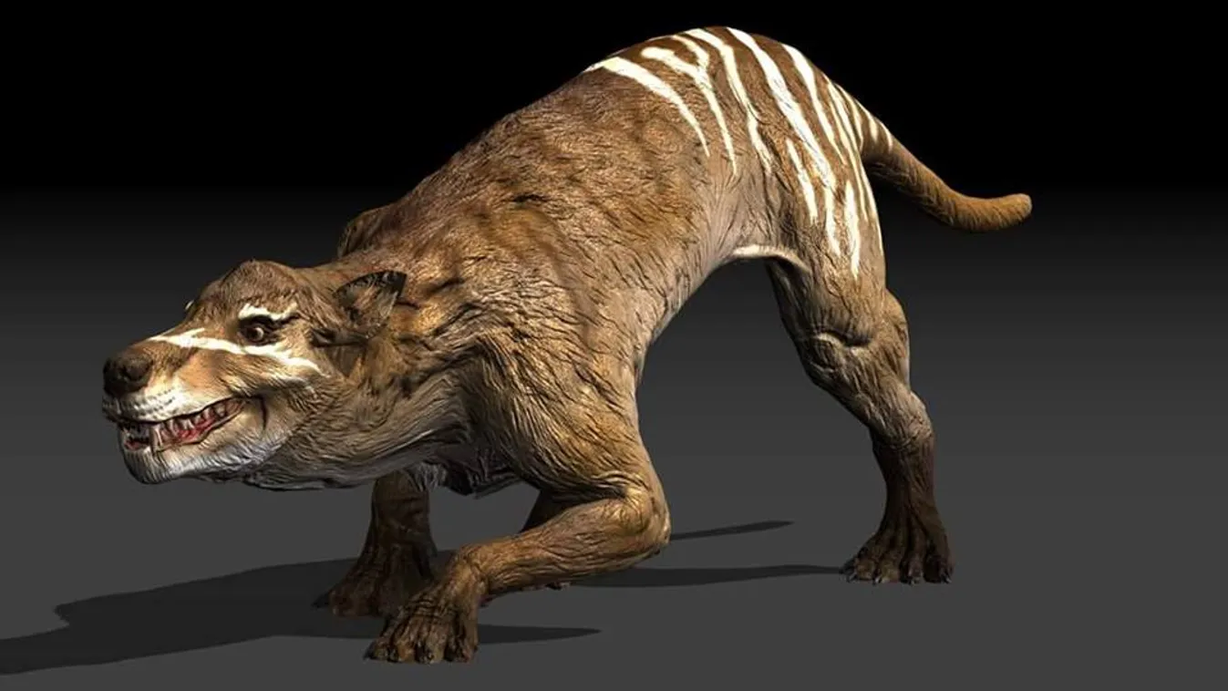 hyaenodon 