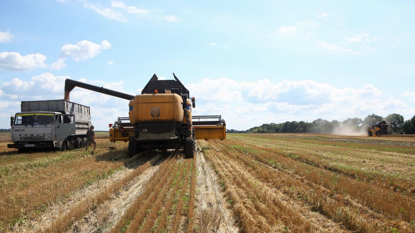 Grain harvest in Kharkiv Region Ukraine conflict Russian invasion Ukraine war Russia-Ukraine war food security grain crop Kharkiv Region Horizontal WAR HARVEST AGRICULTURE FARMING COMBINE HARVESTER 
