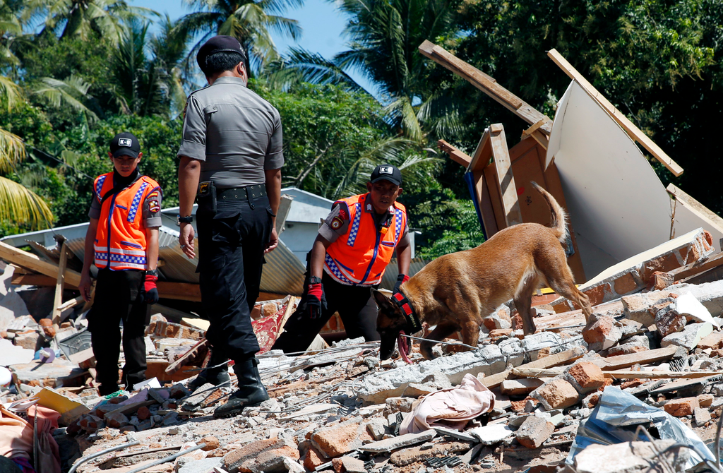 Indonéz földrengés, GALÉRIA 