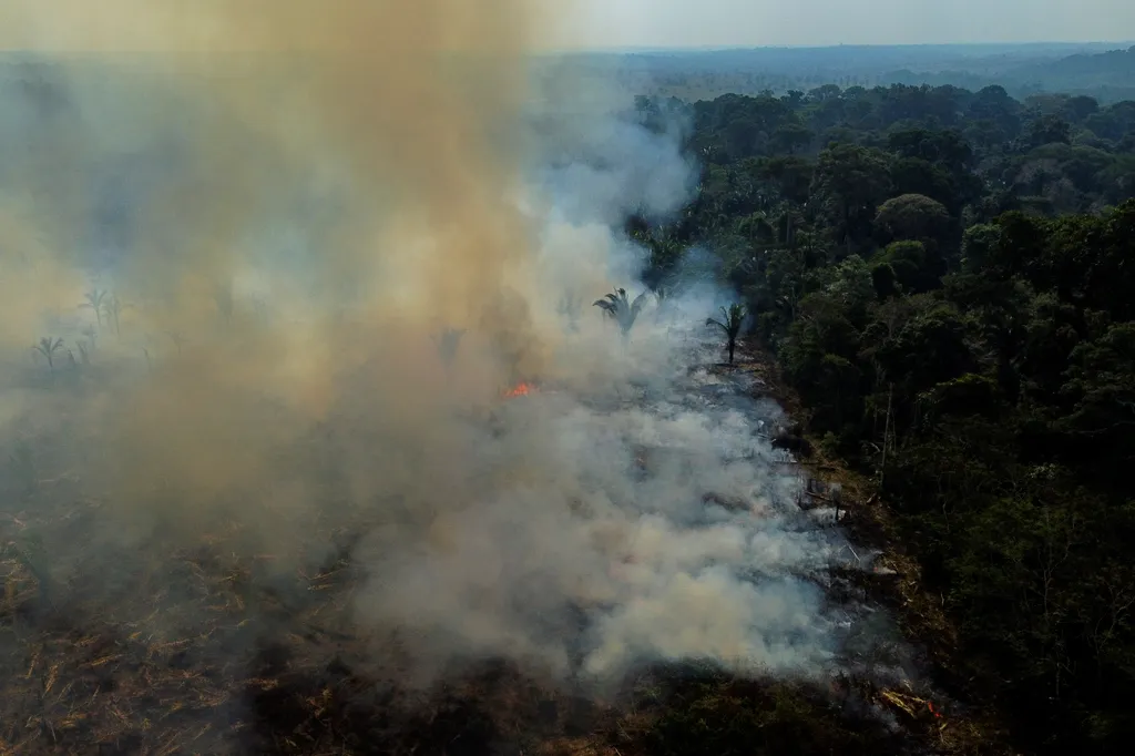 Tűz az Amazonas őserdőben fire environment TOPSHOTS Horizontal 