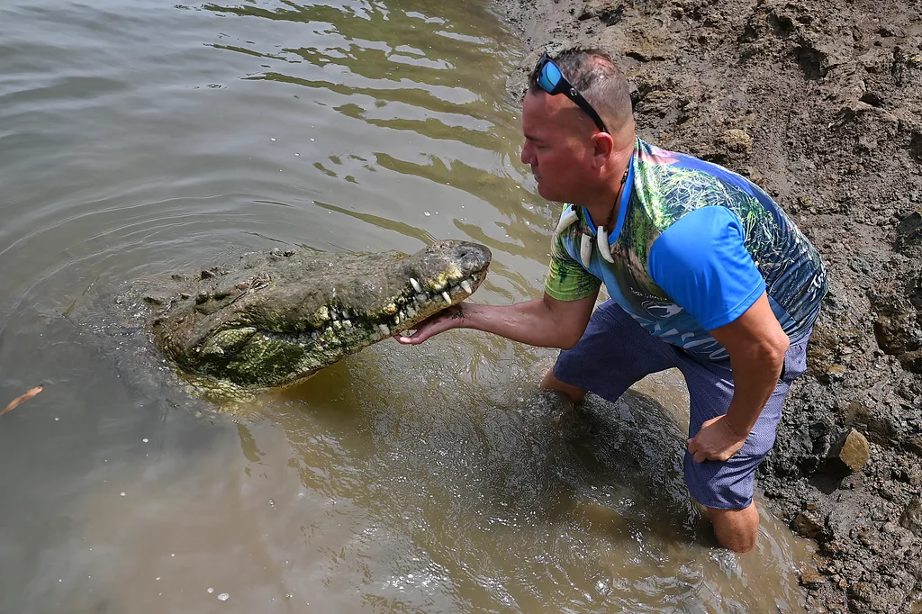 Krokodil túra Costa Ricában 