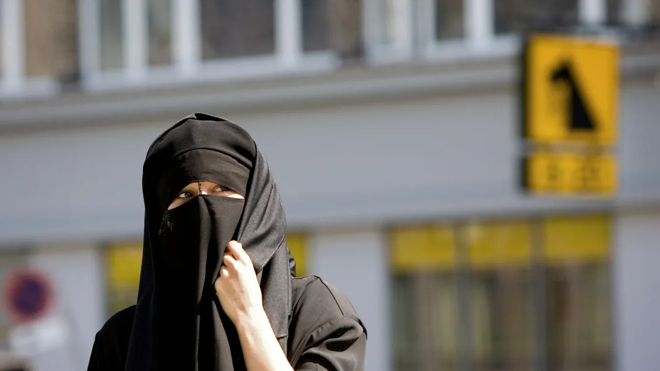 Danish Government has reached agreement on banning all covering headdress, including burkas, in public 