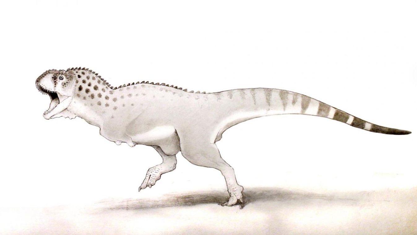 dinoszaurusz, abeliszaurusz, Chenanisaurus barbaricus 