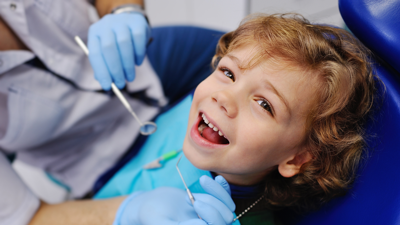 fogorvos Ahol élmény a fogászati kezelés: mesebeli gyermekrendelők 