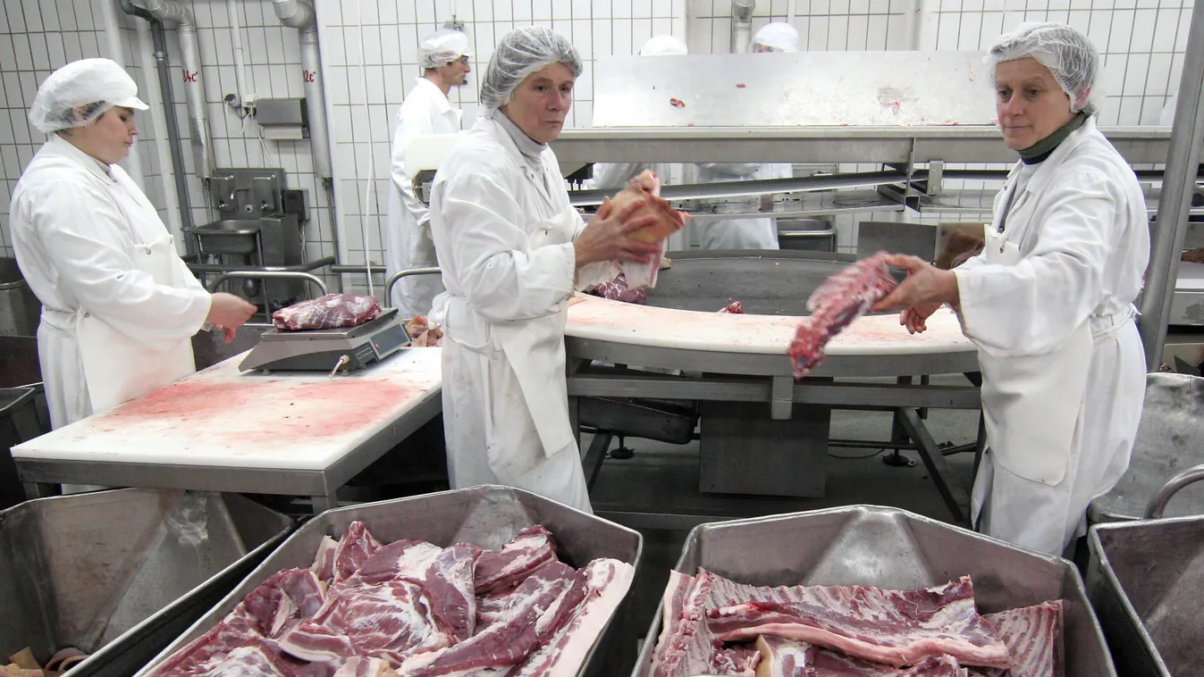 CSELEKVÉS HÉTKÖZNAPI férfiak munkában TÁRGY ÖLTÖZÉK védőruha üzem nyers hús húsfeldolgozó 