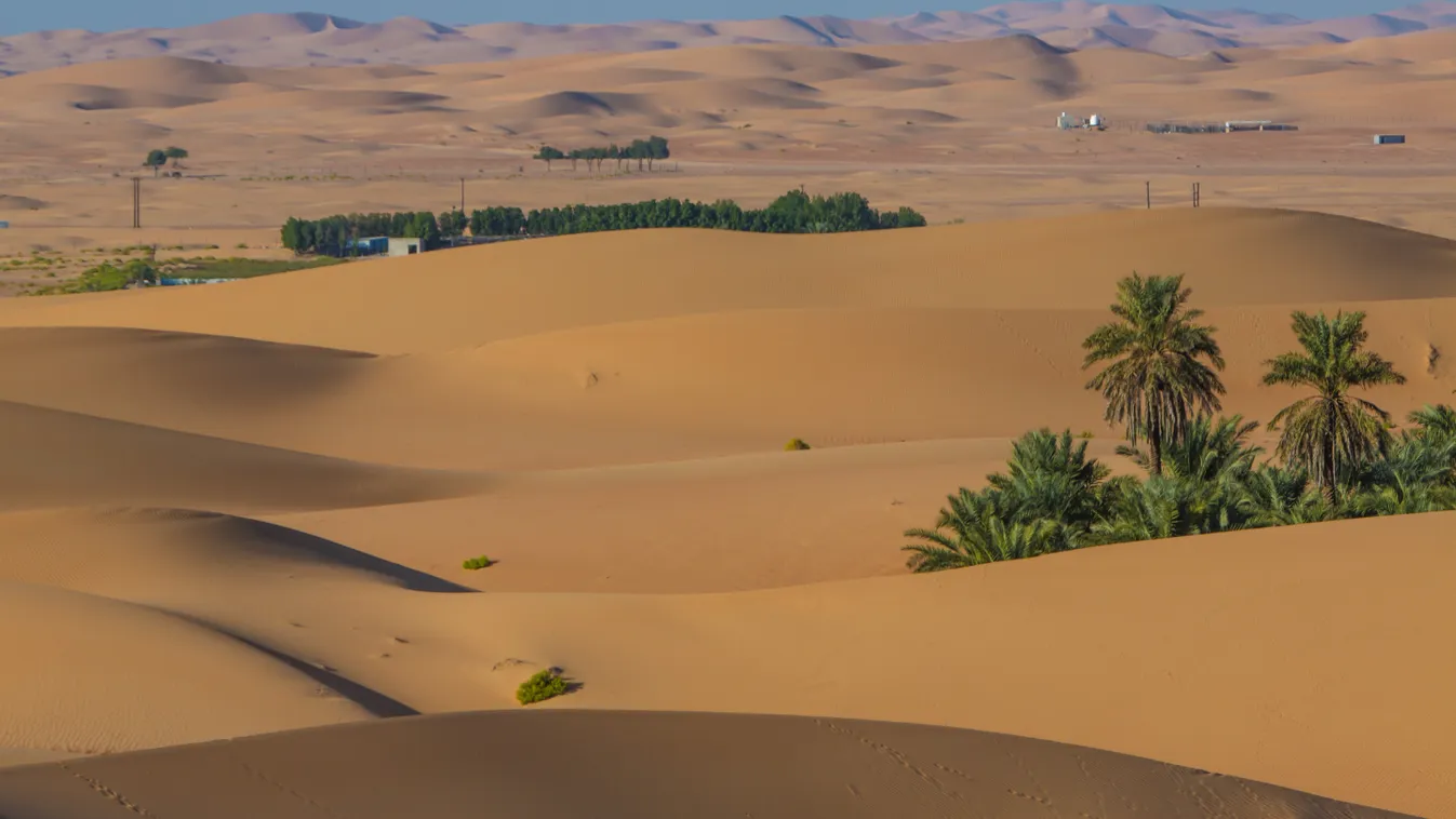 Desert Control STEPHANE FRANCES ONLYWORLD EXTERIOR OASIS MIDDLE EAST U.A.E UAE EMIRATES DESERTIQUE NATURE DUNE DE SABLE UNITED ARAB EMIRATES ABU DHABI TELAL TELAL RESORT AL AIN REMAH 