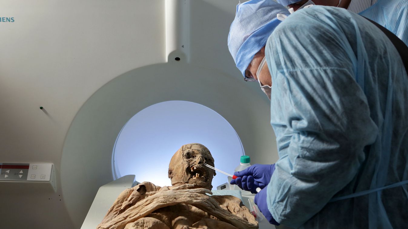 Magyar múmiákat - a 95 éves korában elhunyt Annamáriát és az ismeretlen 300 éves férfimúmiát vizsgál az Ötzi és Tutanhamon kutatója Albert Zink (félhosszú haj) és Olivier Dutour a Magyar természettudományi Múzeum Múmia kiállításán 2015 április 22-én Magya