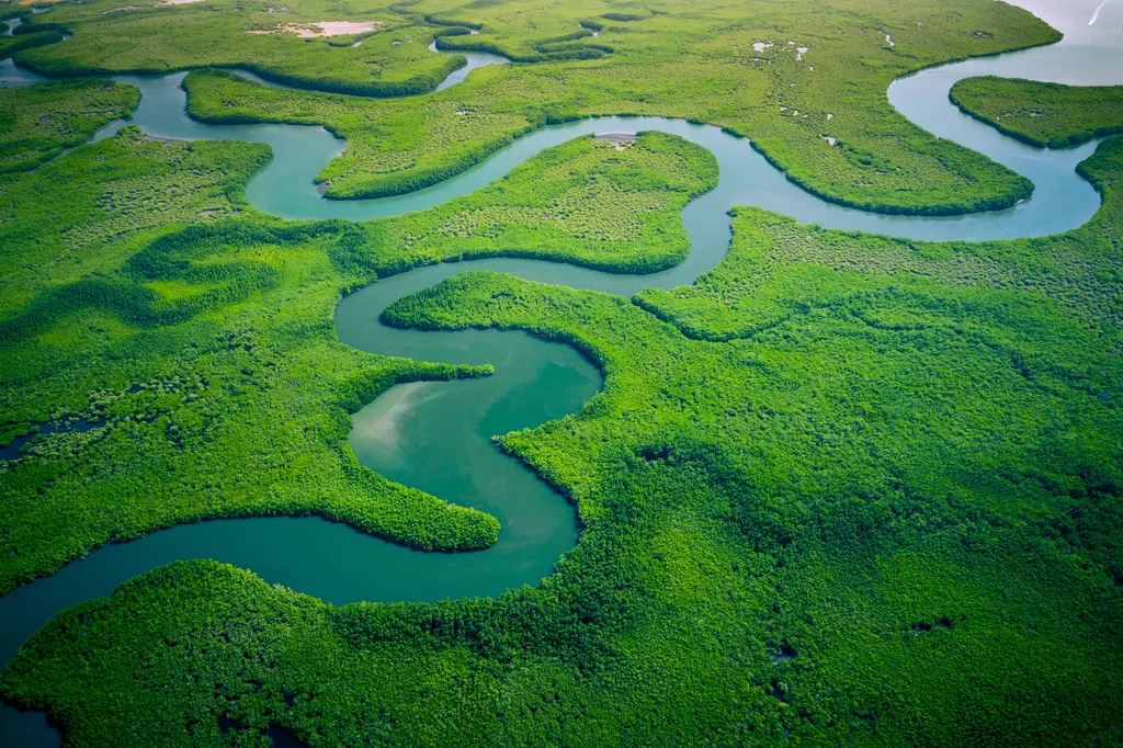 Afrika, Gambia 