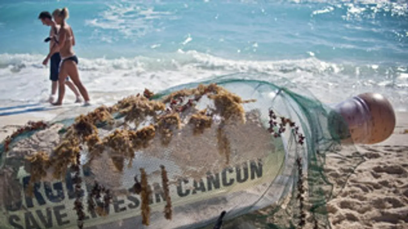 cancúni klímakonferencia, mexikói tengerpart, üzenet a palackban, Oxfam 