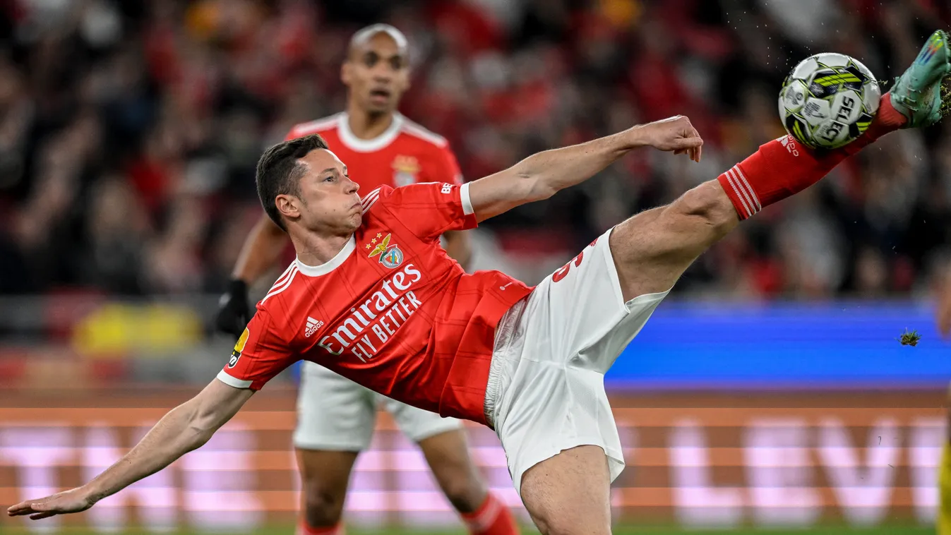 fbl Horizontal, Julian Draxler, Benfica 