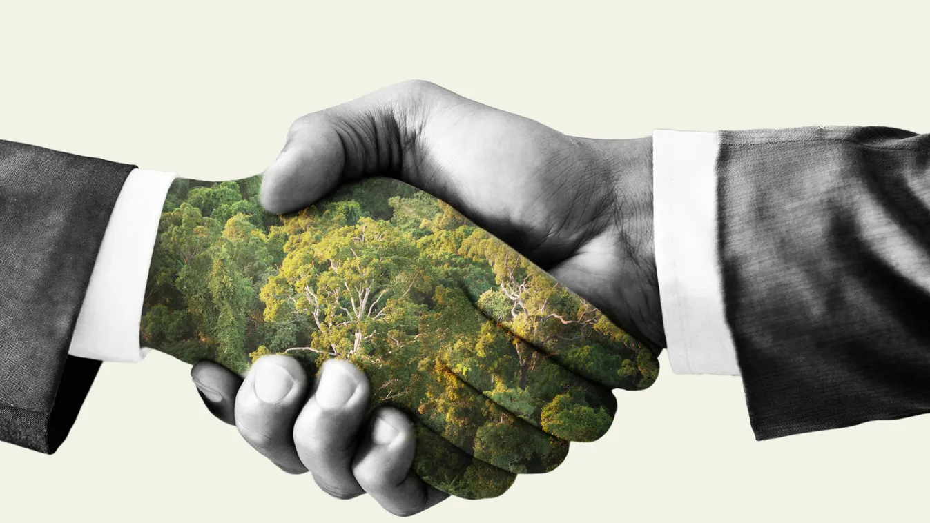 green deal handshake earth nature symbol ecology success agreement trees care concept money business exposure people double isolated forest eco ecosystem hand team global warming shake partnership work climate change teamwork cooperation background person