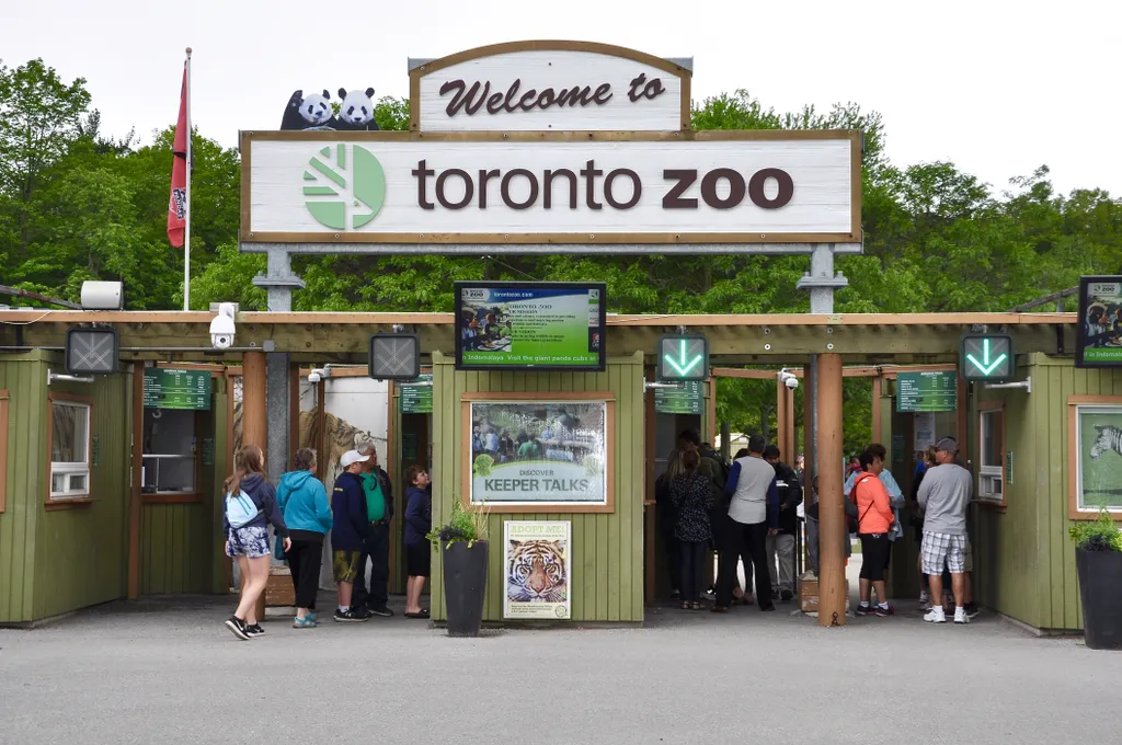 10 legnagyobb állatkert a világon - galéria 2021.09.21. 3. toronto zoo, canada 
 Toronto,,Canada,-,June,28,,2017:,Visitors,Are,Lining,Up panda,queuing,fauna,fee,arrows,endangered,sign,beautiful,childre 