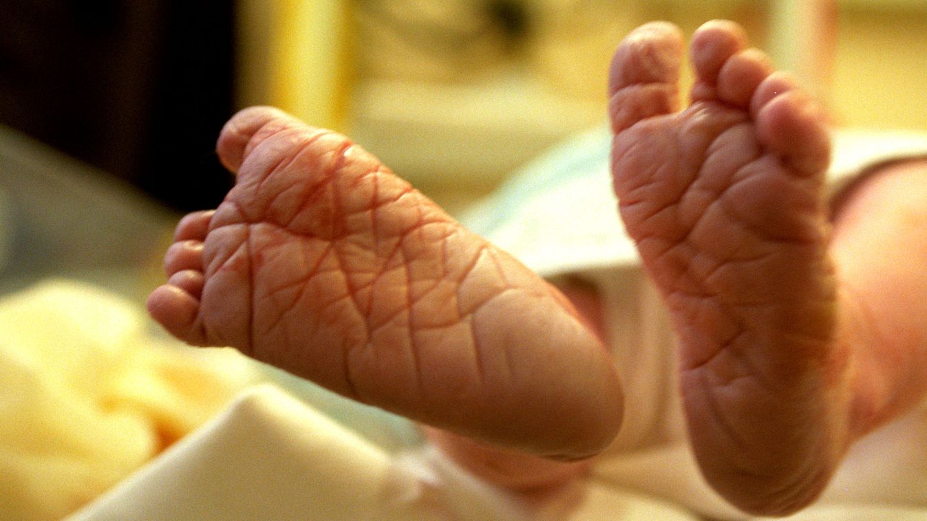 Anonim szülés, Újszülött leánygyermek talpacskái a csepeli kórház szülészeti osztályán. A néhány éve kezdett bababarát program új állomásaként elkészült az alternatív szülőszoba.