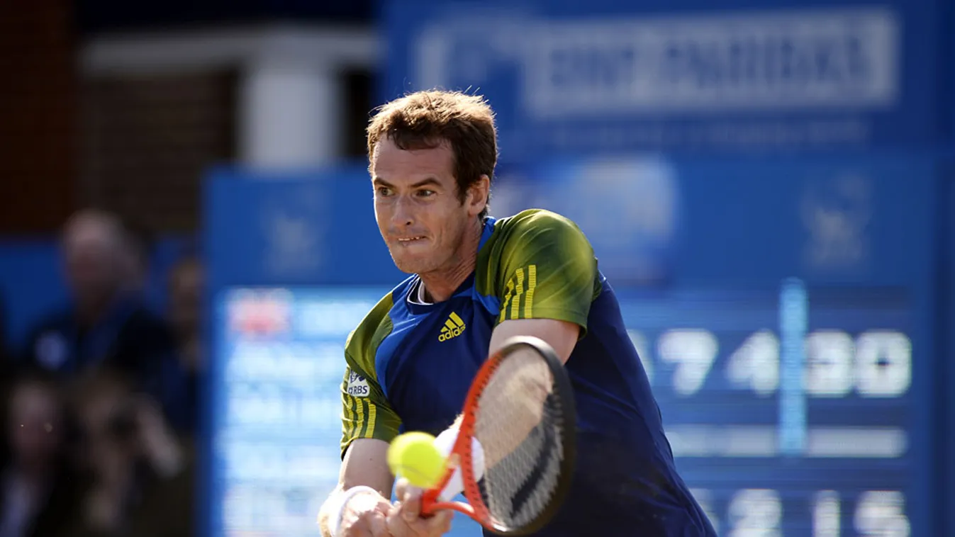 Andy Murray, ATP Aegon Championships 