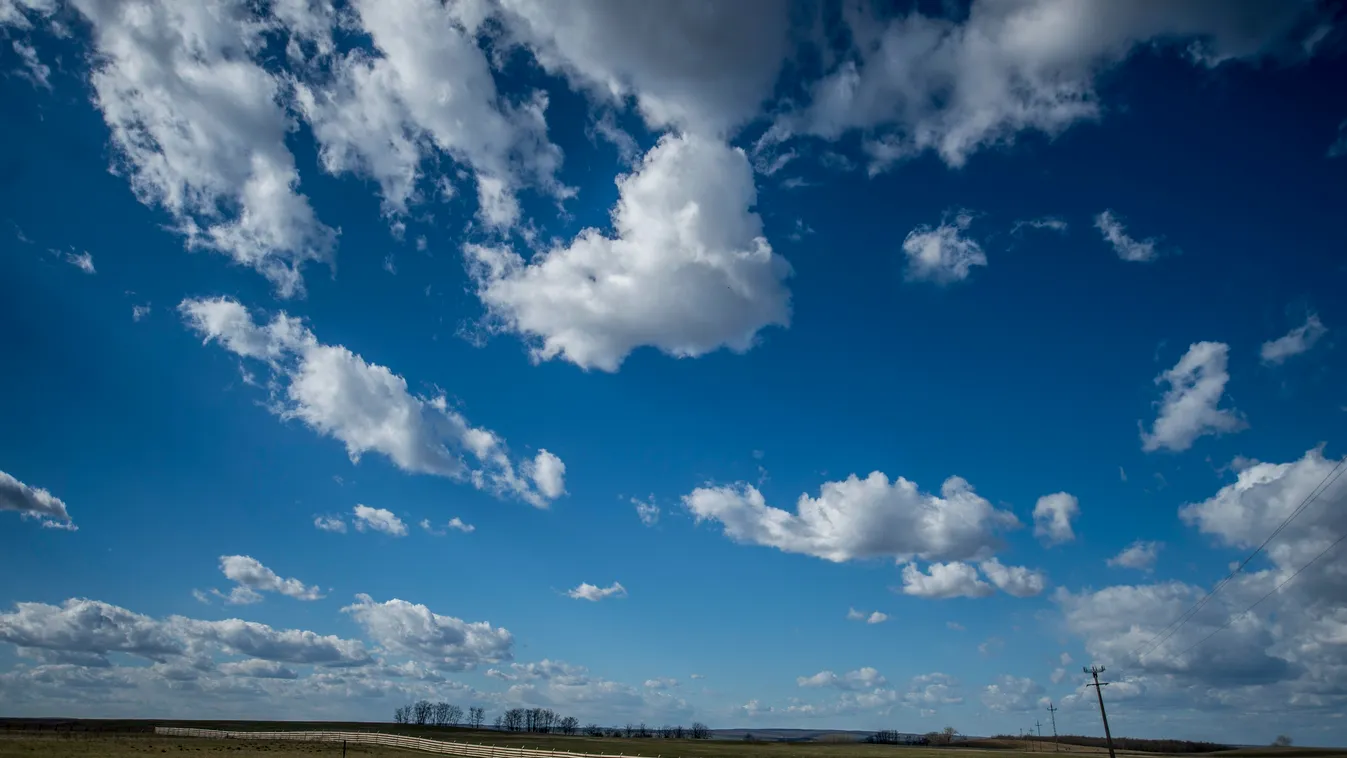 ÁLLAT birka ég felhő háziállat juh TÁJ ÁLLAT ég felhő háziállat TÁJ Cikta juhok a Duna-Dráva Nemzeti Park (DDNP) Nagydorog mellett fekvő, újonnan átadott ciktajuh génmegőrző központjában 