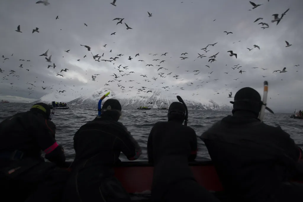 climate environment-pollution nature oceanography Horizontal