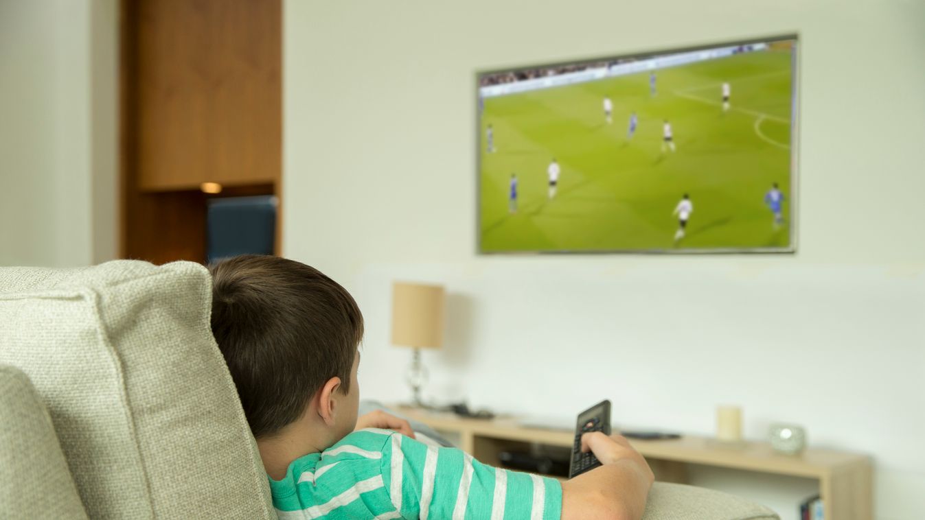Boy watching television in living room 10-11 YEARS ARTS BIG SCREEN BOY BOYS BRUNETTE CASUAL CLOTHING CHANNEL SURFING CHILDHOOD COLOUR IMAGE COMPETITION CULTURE AND ENTERTAINMENT DAY DOMESTIC LIFE ENTERTAINMENT FLAT SCREEN FOCUS ON FOREGROUND HD HDTV HEAD 