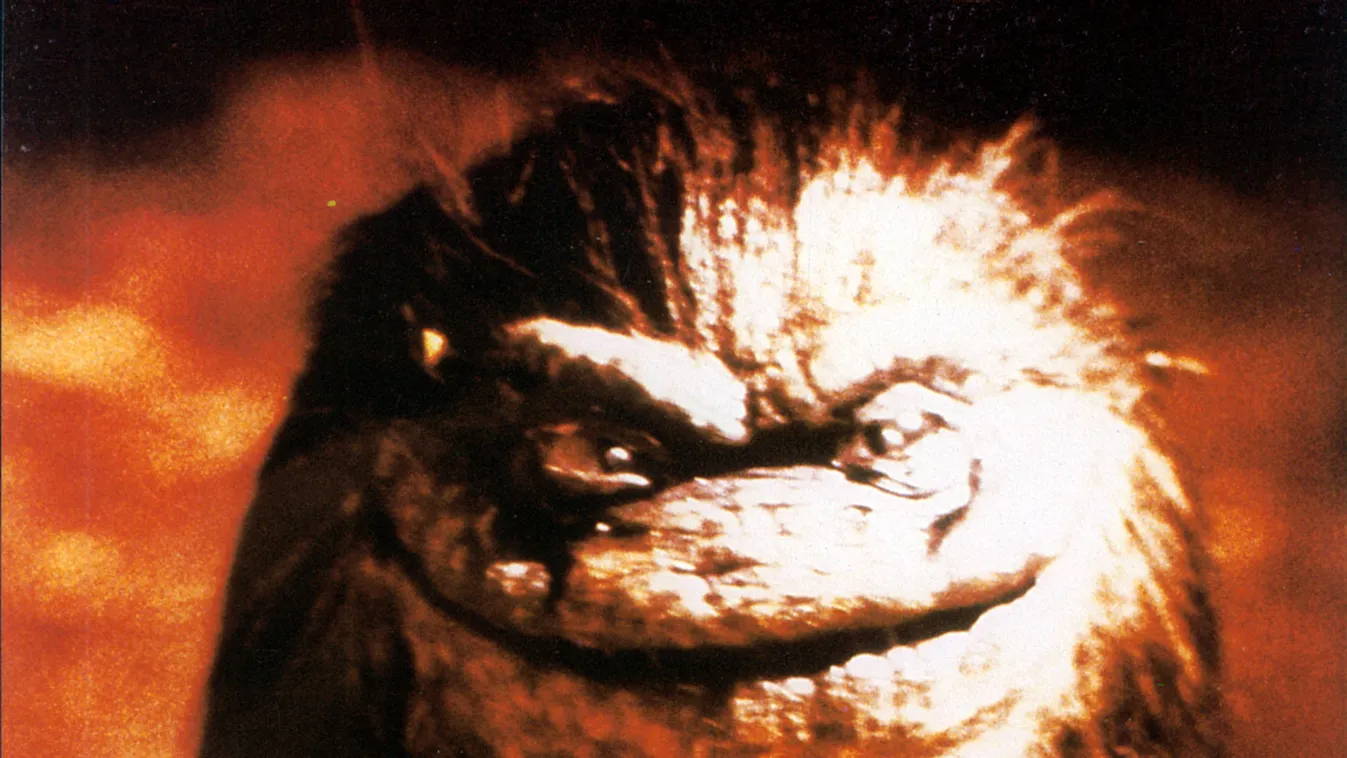 Critters (1986) USA Cinéma monstre VERTICAL, Rémecskék 